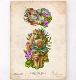 Meniskusriss - Floral - Vintage | Codex Anatomicus Outlet