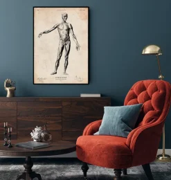 Menschlichen Körpers Anatomie | Codex Anatomicus Outlet