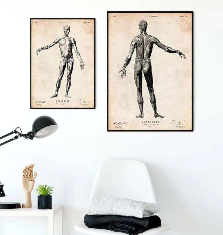 Menschlichen Körpers Anatomie II | Codex Anatomicus Fashion
