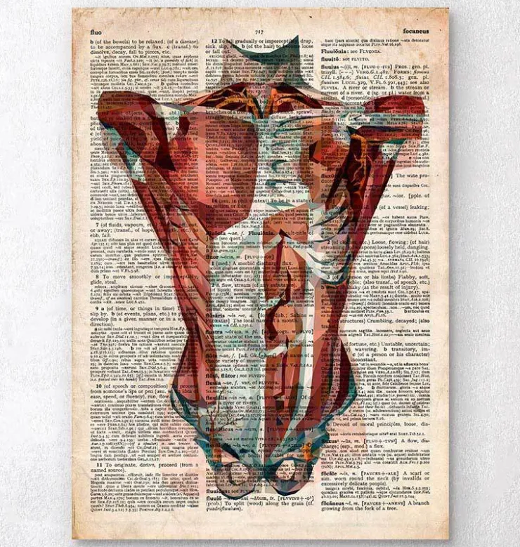 Menschlichen Rumpfes Anatomie - Altes Wörterbuch | Codex Anatomicus Sale