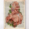 Männliche Körper Anatomie - Altes Wörterbuch | Codex Anatomicus Discount