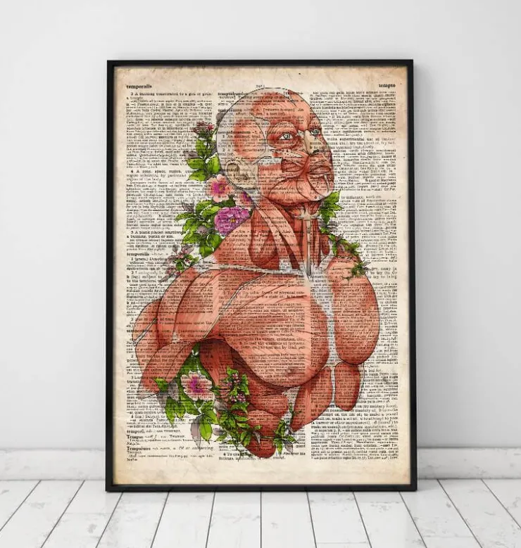 Männliche Körper Anatomie - Altes Wörterbuch | Codex Anatomicus Discount