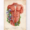 Männliche Rumpfmuskeln - Floral- Weiß | Codex Anatomicus Fashion