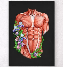 Männliche Rumpfmuskeln - Floral- Schwarz | Codex Anatomicus Sale