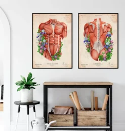 Männliche Rumpfmuskeln - Floral- Weiß | Codex Anatomicus Fashion