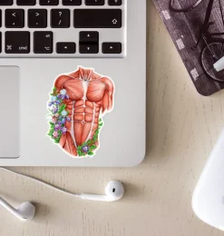 Männlichen Torso Aufkleber - Floral | Codex Anatomicus Sale