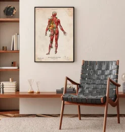 Muskulatur, Rückansicht - Floral - Vintage | Codex Anatomicus Hot