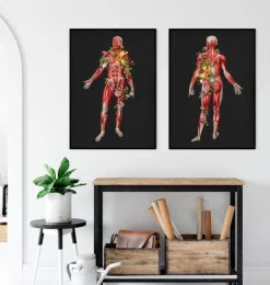 Muskulatur, Rückansicht - Floral - Schwarz | Codex Anatomicus Hot