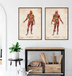 Muskulatur, Rückansicht - Floral - Vintage | Codex Anatomicus Hot