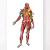 Muskulatur, Vorderansicht - Floral - Weiß | Codex Anatomicus Discount