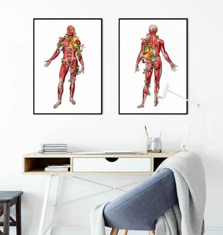 Muskulatur, Vorderansicht - Floral - Weiß | Codex Anatomicus Discount