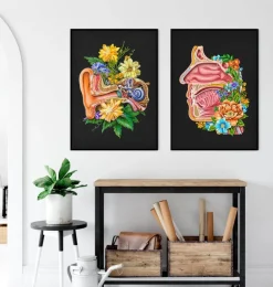 Nasenhöhle Anatomie - Floral - Schwarz | Codex Anatomicus Discount
