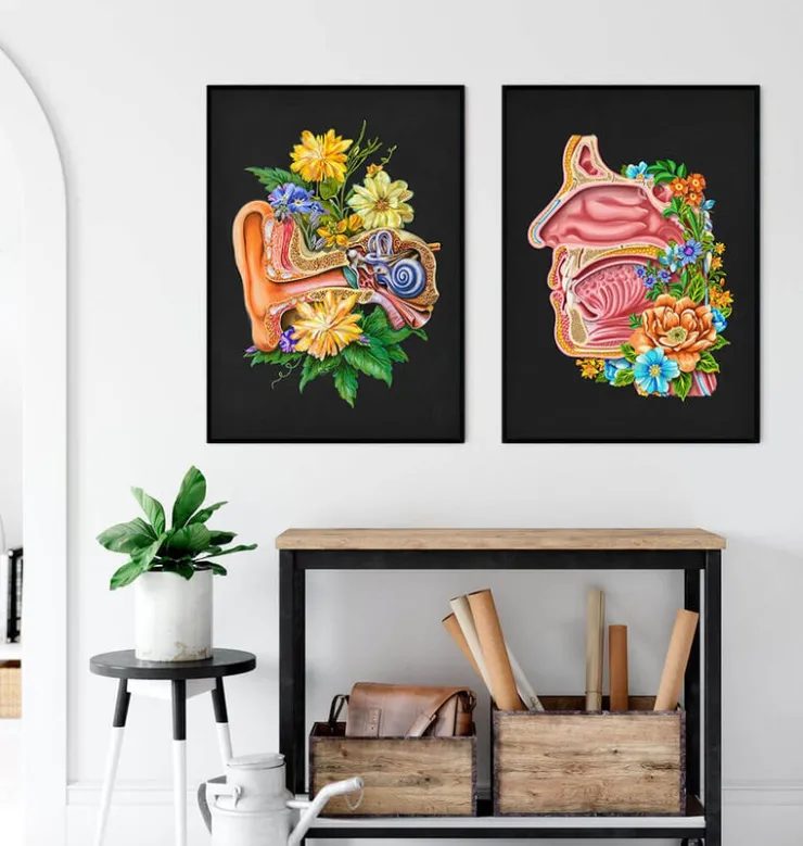 Nasenhöhle Anatomie - Floral - Schwarz | Codex Anatomicus Discount
