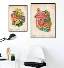 Nasenhöhle Anatomie - Floral - Vintage | Codex Anatomicus Outlet