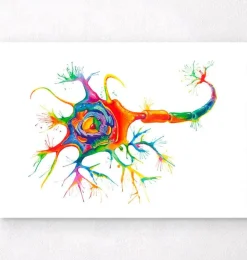 Neuronen Struktur - Aquarell | Codex Anatomicus Discount