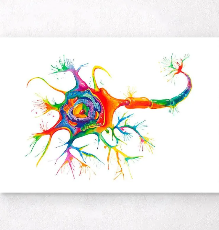 Neuronen Struktur - Aquarell | Codex Anatomicus Discount