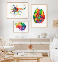 Neuronen Struktur - Aquarell | Codex Anatomicus Discount
