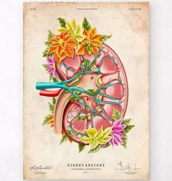 Niere Anatomie II - Floral - Vintage | Codex Anatomicus Fashion