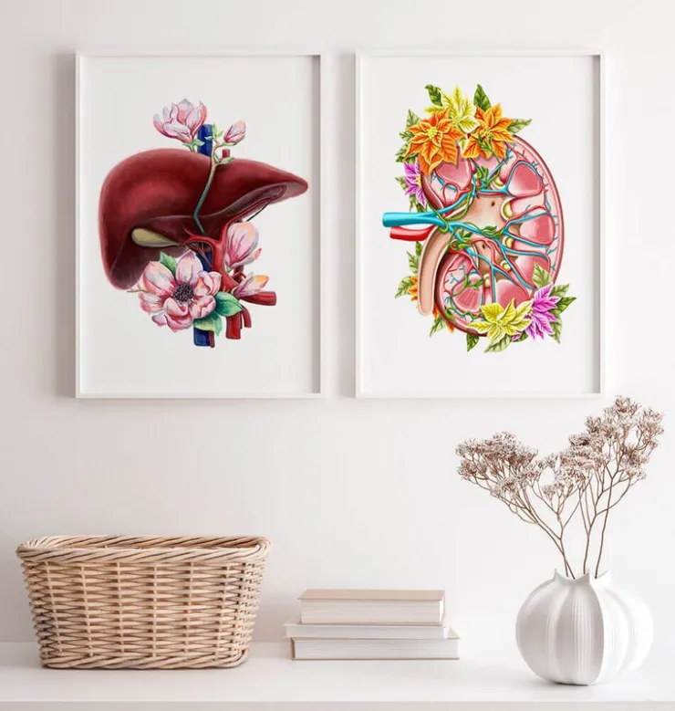 Niere Anatomie II - Floral - Weiß | Codex Anatomicus Discount