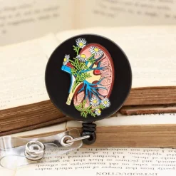 Niere Ausweishalter | Codex Anatomicus Outlet