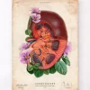 Nieren Anatomie - Floral - Altes Papier | Codex Anatomicus Clearance