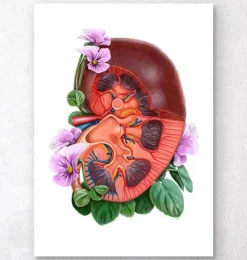 Nieren Anatomie - Floral - Weiß | Codex Anatomicus Best