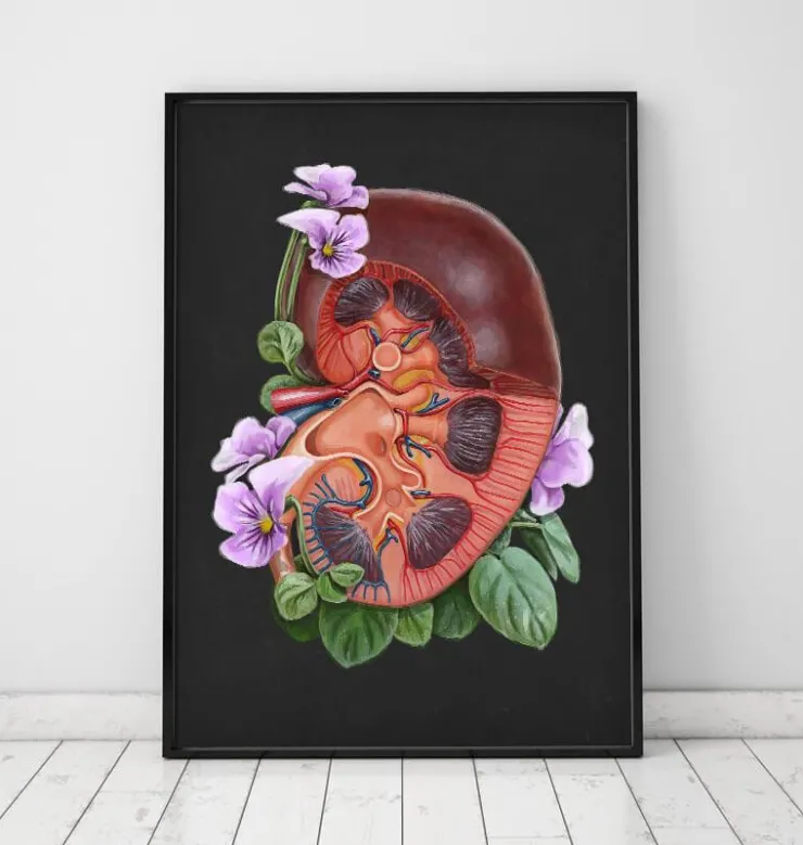 Nieren Anatomie - Floral - Schwarz | Codex Anatomicus New