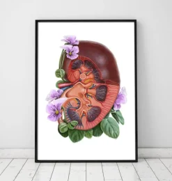 Nieren Anatomie - Floral - Weiß | Codex Anatomicus Best