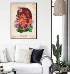 Nieren Anatomie - Floral - Altes Papier | Codex Anatomicus Clearance
