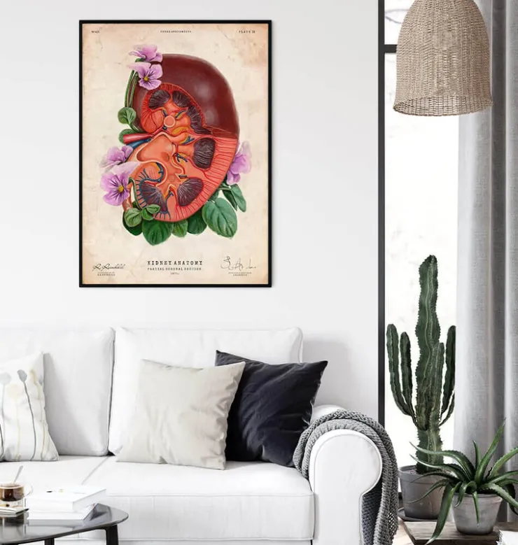 Nieren Anatomie - Floral - Altes Papier | Codex Anatomicus Clearance
