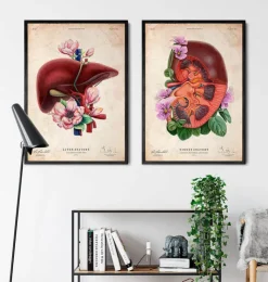 Nieren Anatomie - Floral - Altes Papier | Codex Anatomicus Clearance