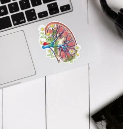 Nieren Anatomie Aufkleber II - Floral | Codex Anatomicus Outlet