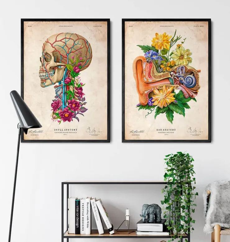 Ohr Anatomie - Floral - Altes Papier | Codex Anatomicus Best