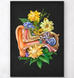 Ohr Anatomie - Floral - Schwarz | Codex Anatomicus Best