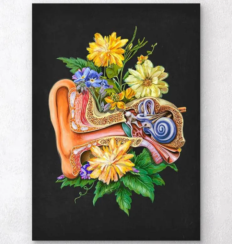 Ohr Anatomie - Floral - Schwarz | Codex Anatomicus Best