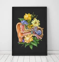 Ohr Anatomie - Floral - Schwarz | Codex Anatomicus Best