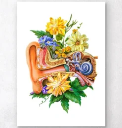 Ohr Anatomie - Floral - Weiß | Codex Anatomicus Hot