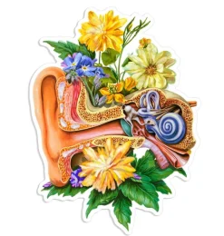 Ohr Anatomie Aufkleber - Floral | Codex Anatomicus Fashion