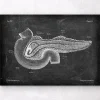 Pankreas Anatomie - Chalkboard | Codex Anatomicus Sale