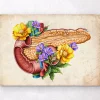 Pankreas Anatomie - Floral - Altes Papier | Codex Anatomicus Discount