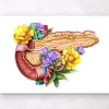 Pankreas Anatomie - Floral - Weiß | Codex Anatomicus Discount