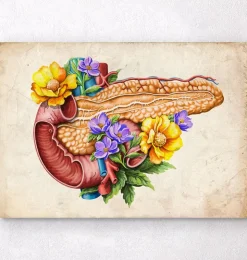 Pankreas Anatomie - Floral - Altes Papier | Codex Anatomicus Discount