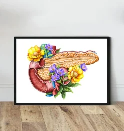 Pankreas Anatomie - Floral - Weiß | Codex Anatomicus Discount