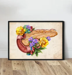Pankreas Anatomie - Floral - Altes Papier | Codex Anatomicus Discount