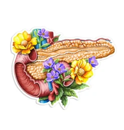 Pankreas Anatomie Aufkleber - Floral | Codex Anatomicus Discount