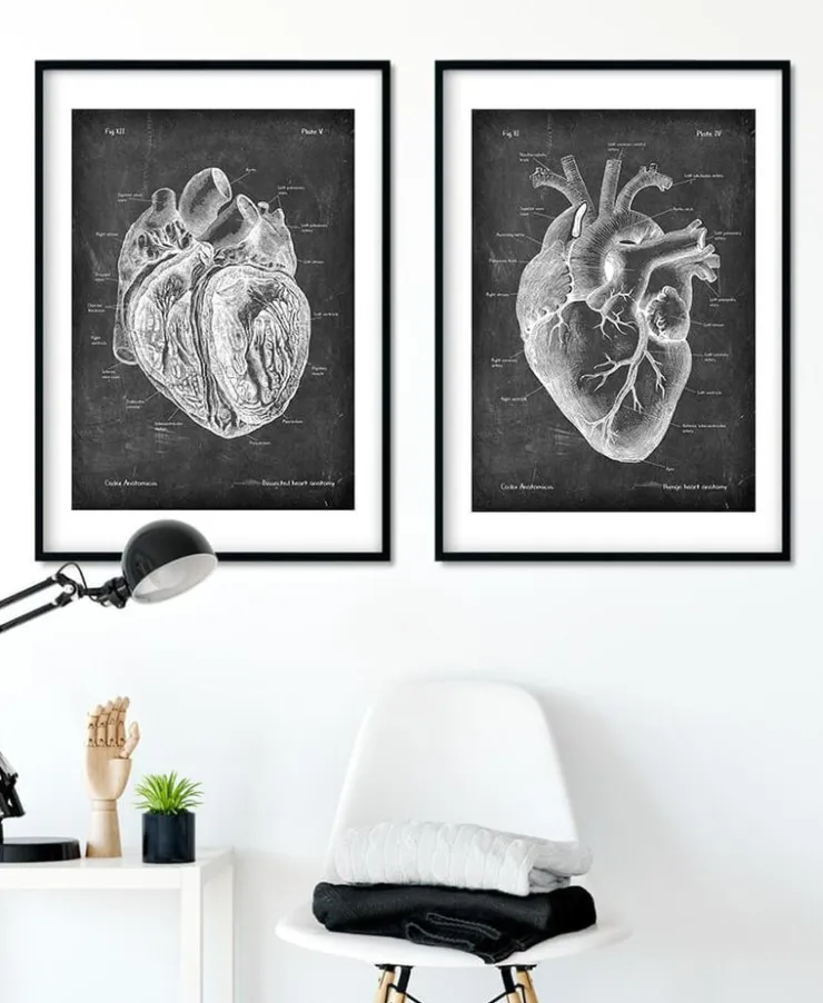 Präparierte Herz Anatomie - Chalkboard | Codex Anatomicus Discount