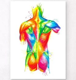 Rücken Anatomie - Aquarell | Codex Anatomicus Clearance