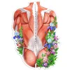 Rücken Anatomie Aufkleber - Floral | Codex Anatomicus New