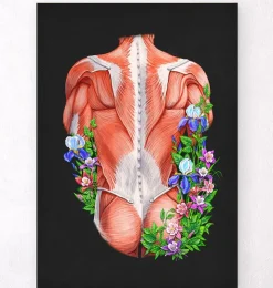 Rücken Anatomie I - Floral- Schwarz | Codex Anatomicus Discount