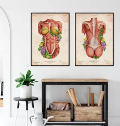 Rücken Anatomie II - Floral - Vintage | Codex Anatomicus Best